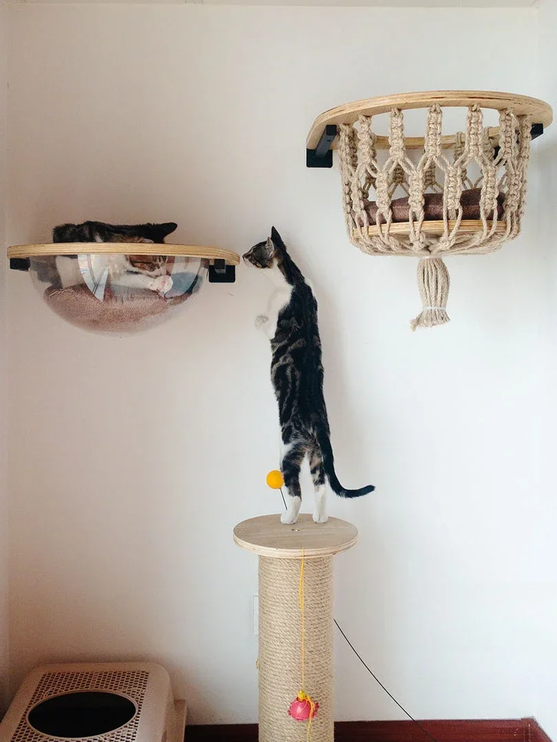 Rope woven basket space capsul - Jump Rope recension och pris